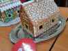 20231211_120247-Copy