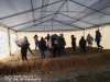 img_20221202_114452-Copy