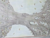 DSCF9167