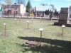 DSCN1181