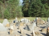 DSCF8485