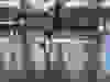sEPXtjOD